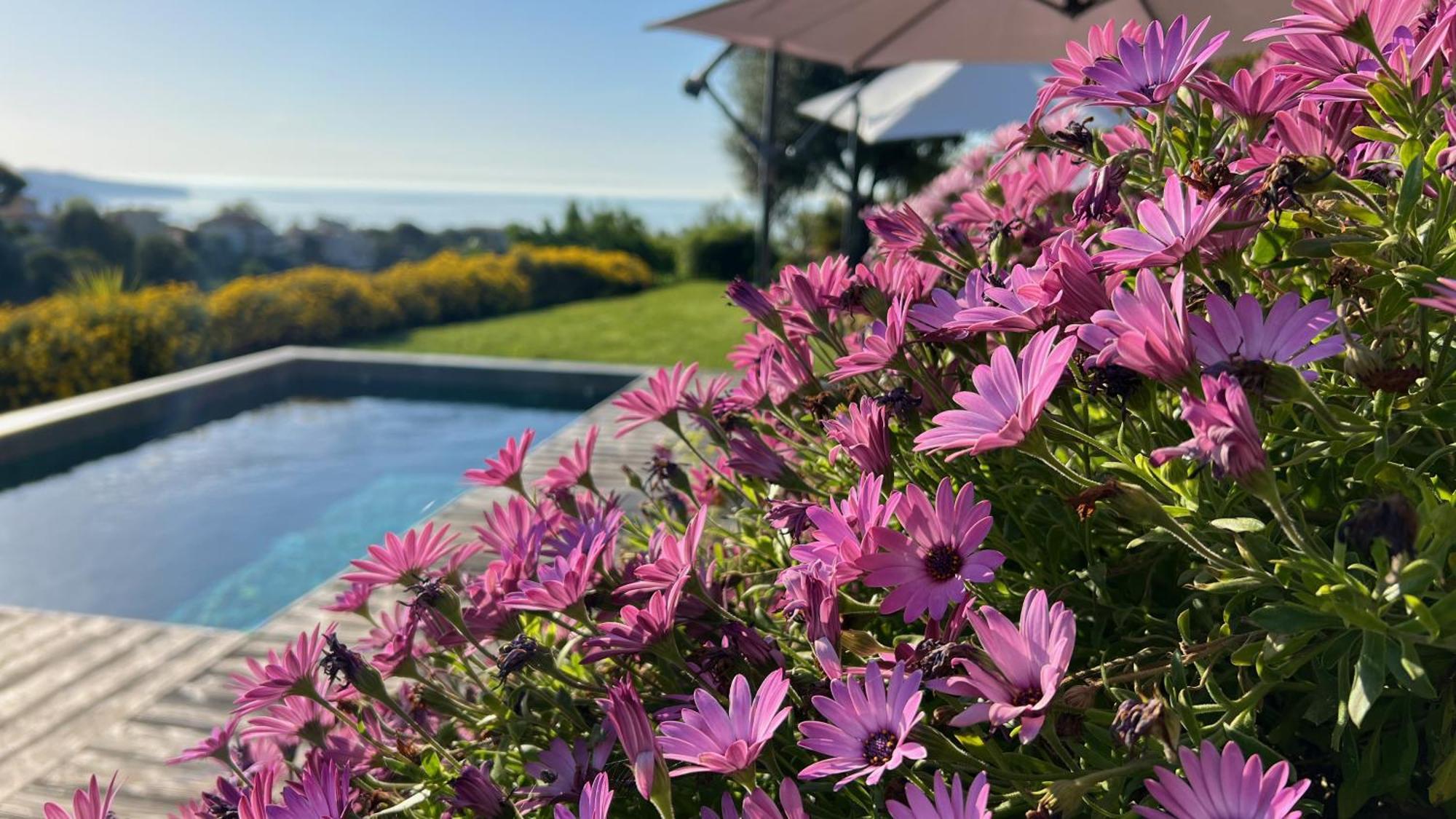 Villa La Coulina Nizza Esterno foto