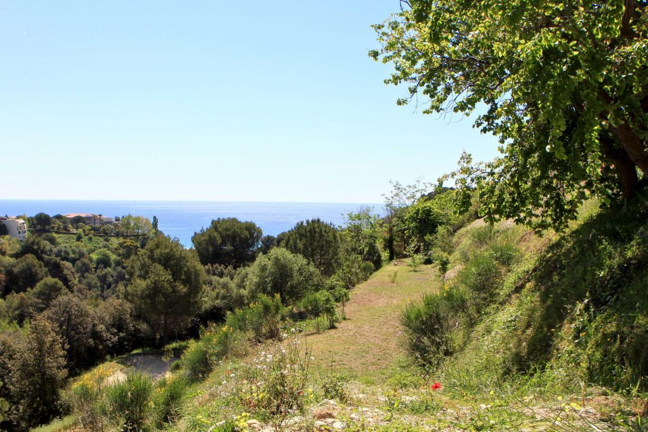 Villa La Coulina Nizza Esterno foto